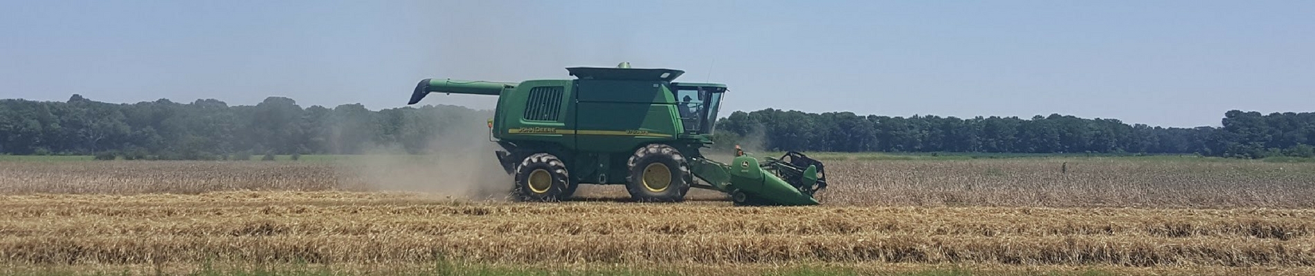 Crop field1.jpg thumbnail